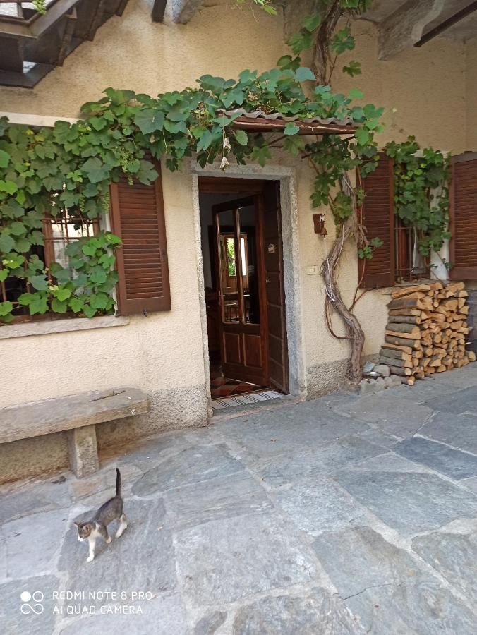 דירות Castiglione dʼIntelvi Casa Olmi Dependance מראה חיצוני תמונה